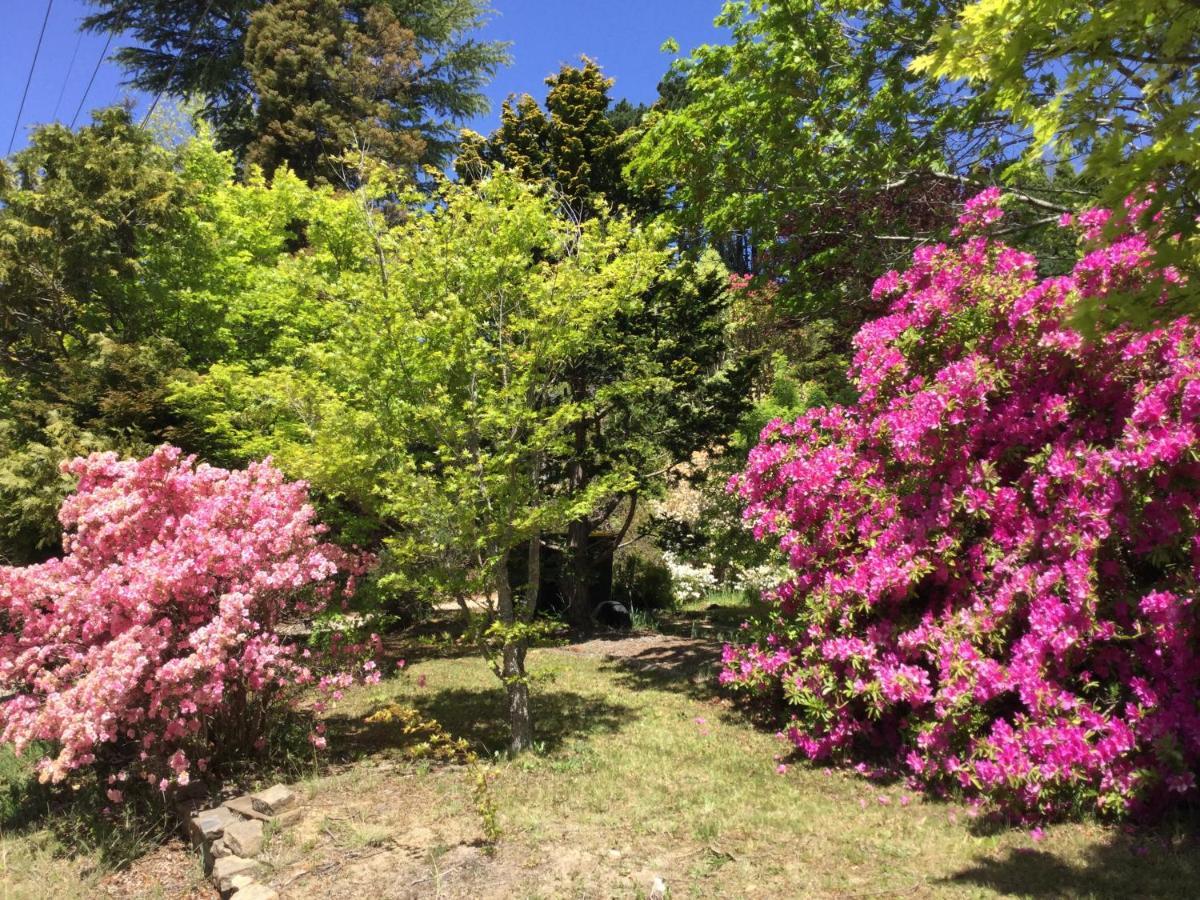 The Wentworth Retreat Villa Wentworth Falls Luaran gambar